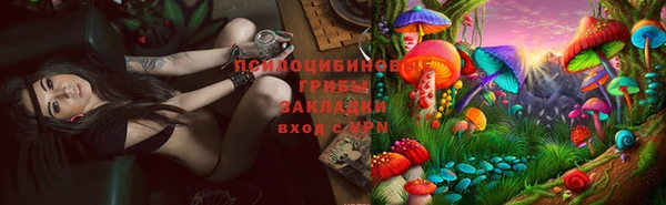 тгк Армянск