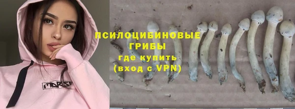 ECSTASY Аркадак