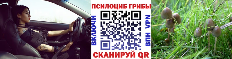 купить   Знаменск  Галлюциногенные грибы мухоморы 